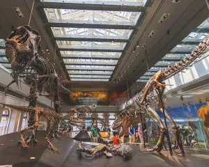 Los Angeles Natural History Museum